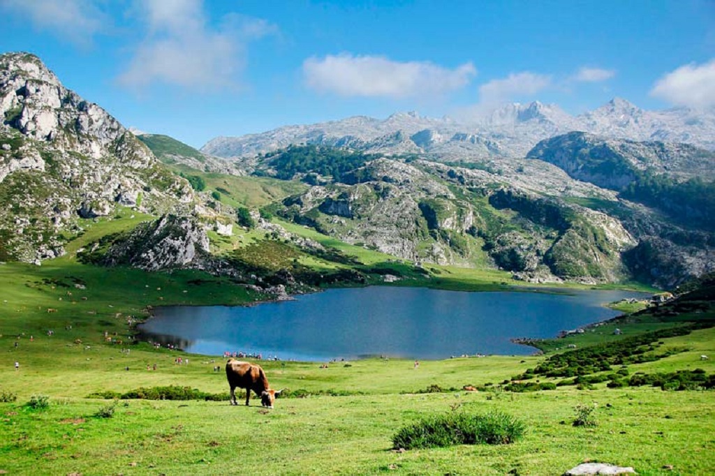 Planes imprescindibles en Asturias